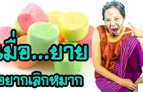 เมื่อยาย … อยากเลิกหมาก ! (ด้วยมาชเมลโล่ สูตร M&M แสนอร่อย) กับพี่เฟิร์น 108Life